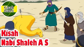 Download lagu Nabi Shaleh A S  - Kisah Islami Channel mp3