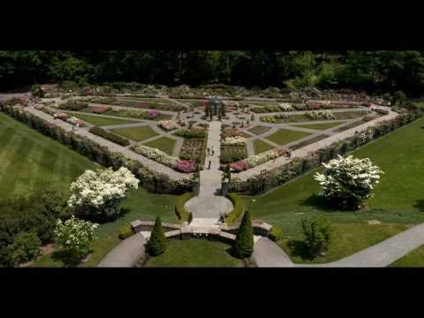 HERE BEAUTY DWELLS   EILEEN DITULLIO - A WALK THROUGH THE NEW YORK BOTANICAL GARDENS