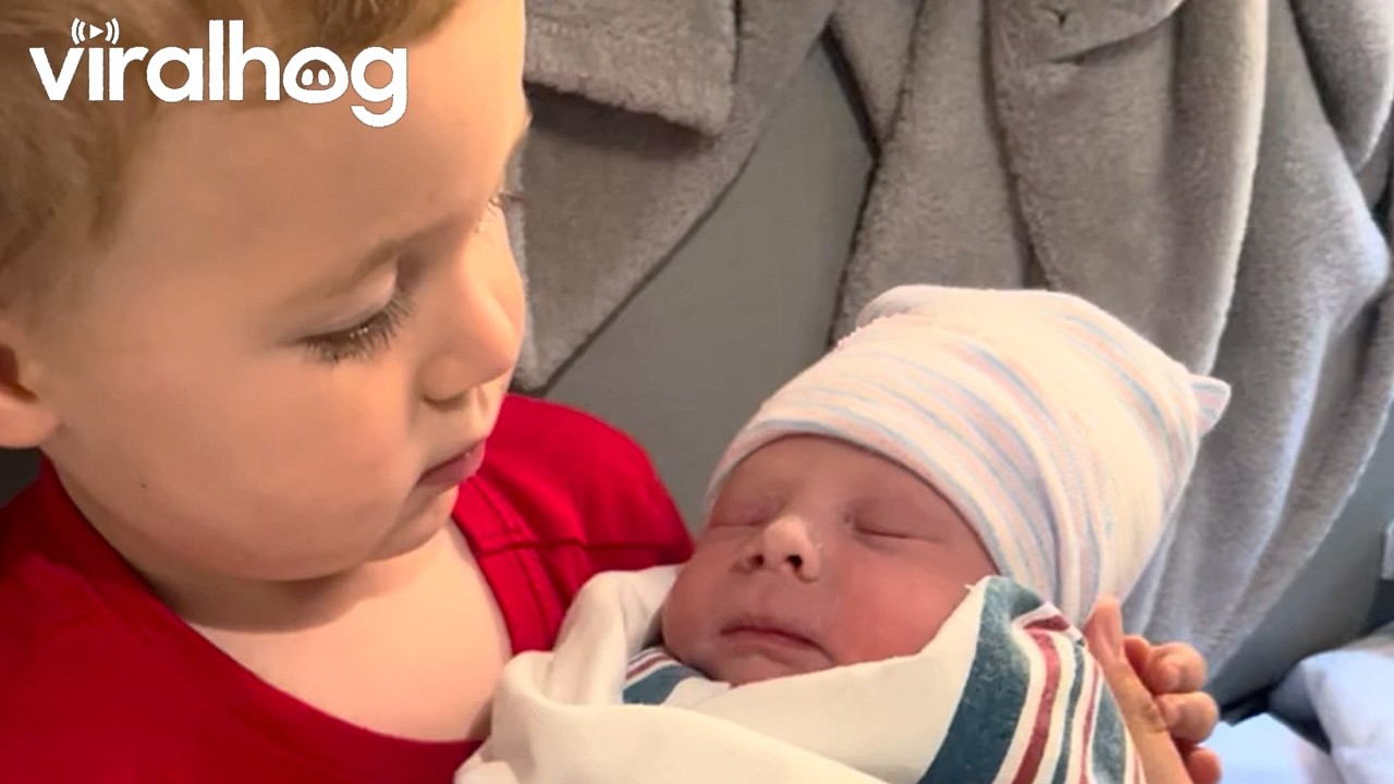 Big Cousin Not Impressed With Baby Cousin || ViralHog