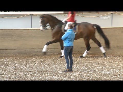 Reiten, Radeln, Rocken – immer was los bei | Wir in BB