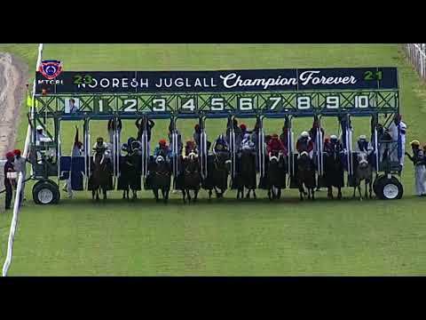 RM2 R3 | Paddingtons Luck | N.Teeha