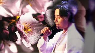 Download lagu aldila -  daisuke kawakami - spring evening 2023 mp3