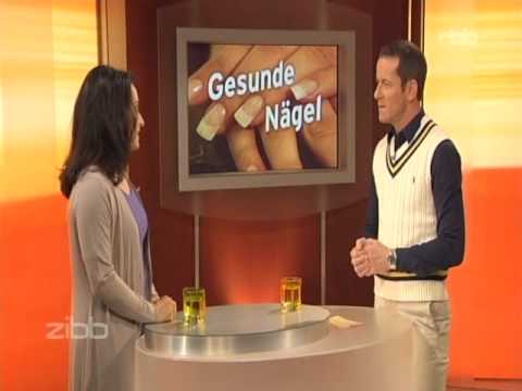 Nitrofungin für die Behandlung gribka des Nagels Wie gribok der Nägel, wie gezeigt wird zu behandeln