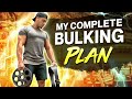 My LEAN BULKING Plan | (Diet, Training, Supplements, Cardio and Mindset)