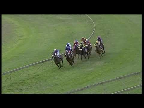 20190915 Hollywood Bets Scottsville express clip Race 6  MARCHINGONTOGETHER