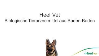 Heel Vet | Biologische Tierarzneimittel aus Baden-Baden