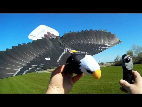 GO GO BIRD Interaktyvus paukščiukas