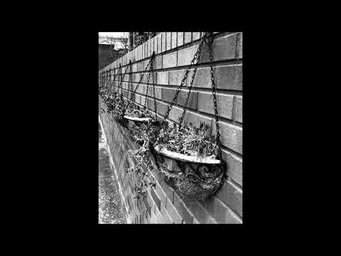 "sillySeason201214" by WORDY