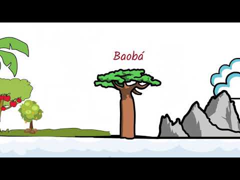 A história do Baobá