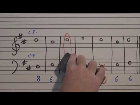 Music Theory 101 - First Species Counterpoint
