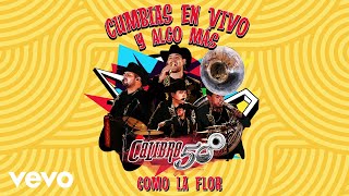 Calibre 50 - Como La Flor (Audio/En Vivo)