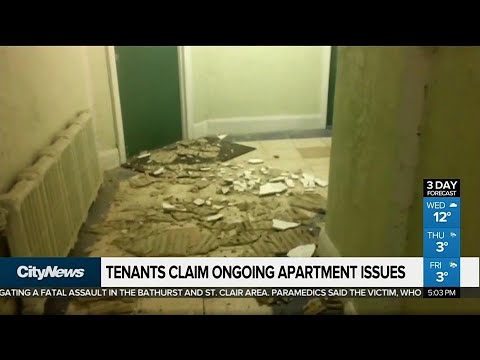 Parkdale tenants forced out of building continue fight against landlord