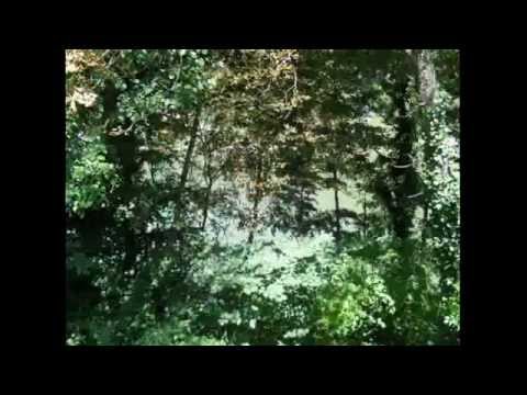 Pensiuni Ramnicu Valcea ieftine, oferte cazare Romania, pensiuni Ramnicu Valcea preturi mici