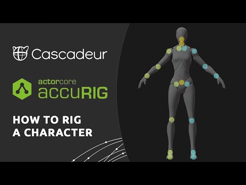 AccuRIG to Cascadeur - How to Rig a Character