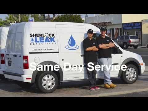 Gas Leak Detector
