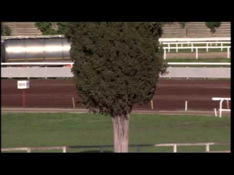 rm 20221009 05 p consolazioneoaks