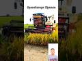 Combine Sawah Operator Nyaman Shorts Viral Combine Combineharvester Kombi Kombet