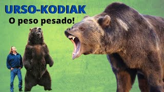 URSO-KODIAK - UM GIGANTE DA NATUREZA!