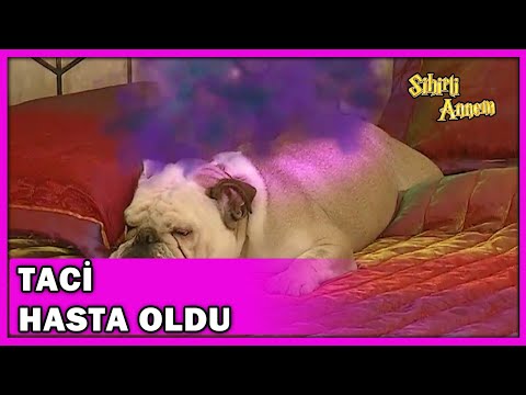 Taci Hasta Oldu - Taci'den Dudu'ya Veda Konuşması! - Sihirli Annem 71.Bölüm