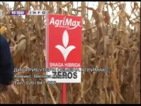 Agrimaks hibridi - ZEROS