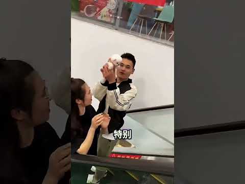 小狗太可爱,路人抢着要!最后一只花落谁家🐶