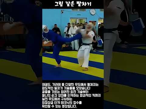 링 위에서 펼쳐지는 예술적인 타격의 미학