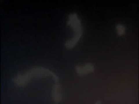 AMV - Chrono Crusade - Kinslayer (Nightwish)