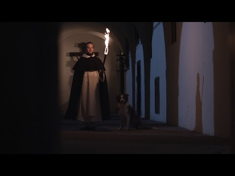 Náhled pro video reference