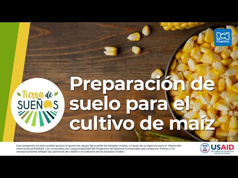 , title : 'Preparación de suelo para el cultivo de maíz'