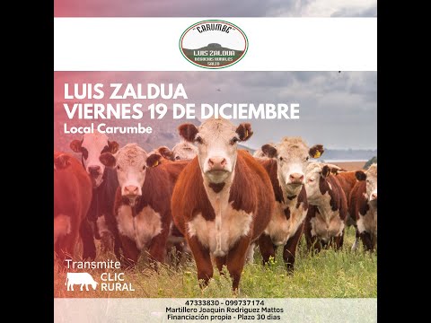 19/12/2025 Local Carumbé - Salto - Luis Zaldua Negocios Rurales