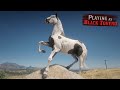 Playing As Black Tovero Fox Trotter HORSE In Red Dead Redemption 2 Horse Falls And Crashes In 4K