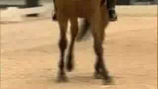 Equestrian - Bad Cartridge (E-Pro Remix)