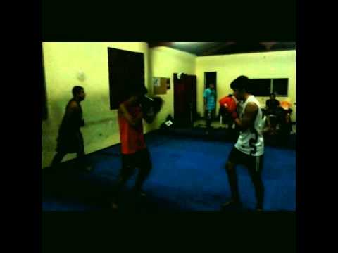 Treino dirigido - Muay Thai