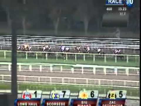 20101015 SG CLASS 4 1600M (SC) - LONG HAUL (R Stewart)