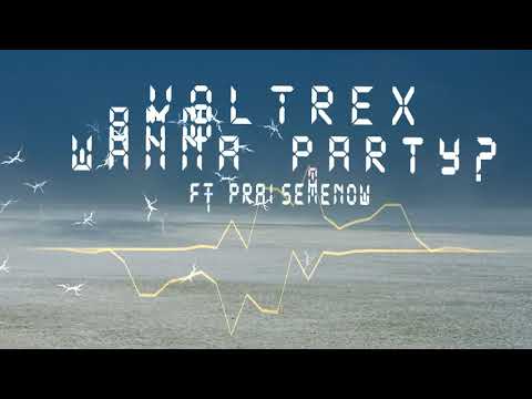 Voltrex - Wanna Party ft Praisemenow