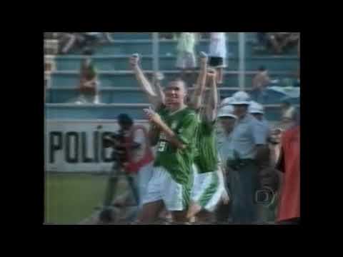 PALMEIRAS 3 X 3 PORTUGUESA   RIO/SAO PAULO 2002