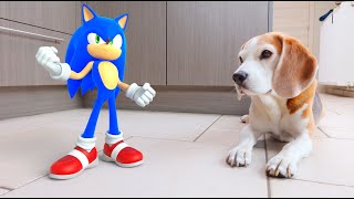 Animations in REAL LIFE vs PUPPY : SONIC The HedgeHog