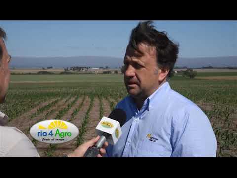 PROGRAMA RIO 4 AGRO 14 11 19 BLOQUE 1