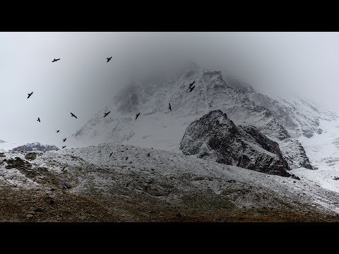 Blugazer & Catherine pres. Blue Symmetry - Take Me With You (Original Mix) [Silk Music]