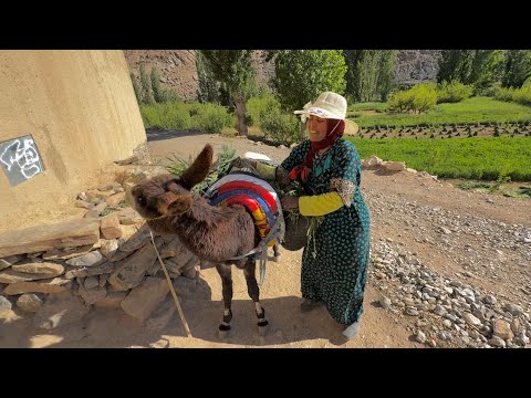 #VLOG168 | هكذا أصبحت هذه المرأة تعيش‼️من لاشيء لحياة مليانة حركة وكرامة😍