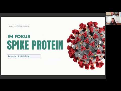 Immunsystem und Spikes