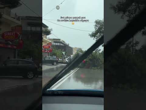 Έπεσε ο κορμός στην μέση του δρόμου