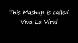 Viva La Viral Youtube [Mashups, Mashup, Bastard Pop]