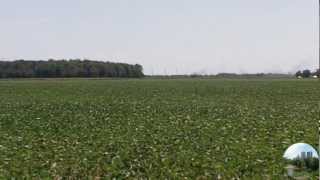 preview picture of video '2012/07/11: The Nickel Plate Road 765 near Yoder Indiana'