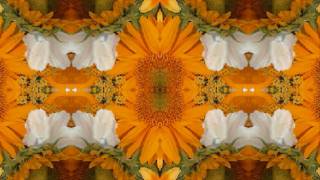 God Bless The Child (by Dave Van Ronk live at Indiana U. '64)