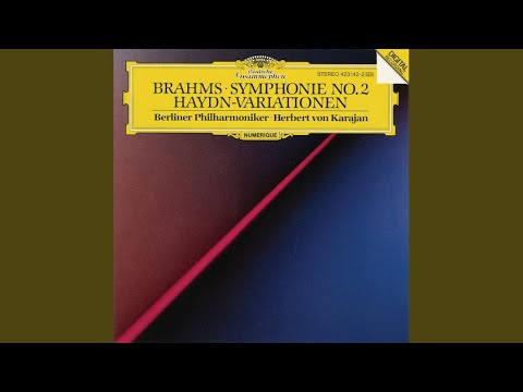 Video thumbnail for Symphony No. 2 in D major, Op. 73: IV. Allegro con spirito
