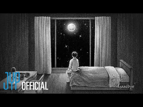 Seungmin "Goodbye" | [Stray Kids : SKZ-RECORD]