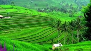 Download lagu Instrumen Musik Sunda No copyright untuk backsound video mp3