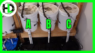 DIY Dutch Bucket Hydroponics Upgrade