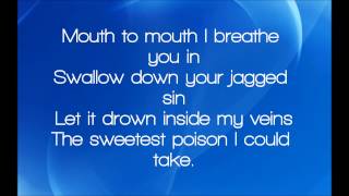 Krewella Come &amp; Get it Lyrics